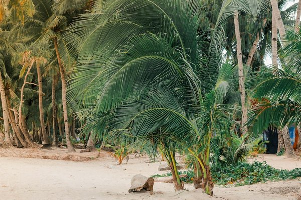 Quels sont les critères pour choisir une maison de vacances en Toscane avec des cours de cuisine et des balades en vélo?