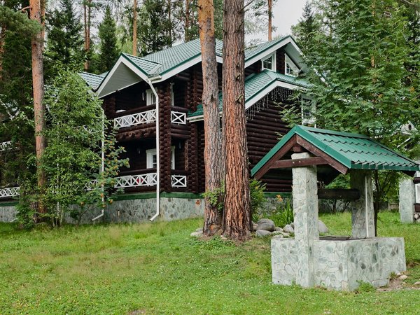 Comment organiser une croisière pour observer les dauphins en mer des Caraïbes?